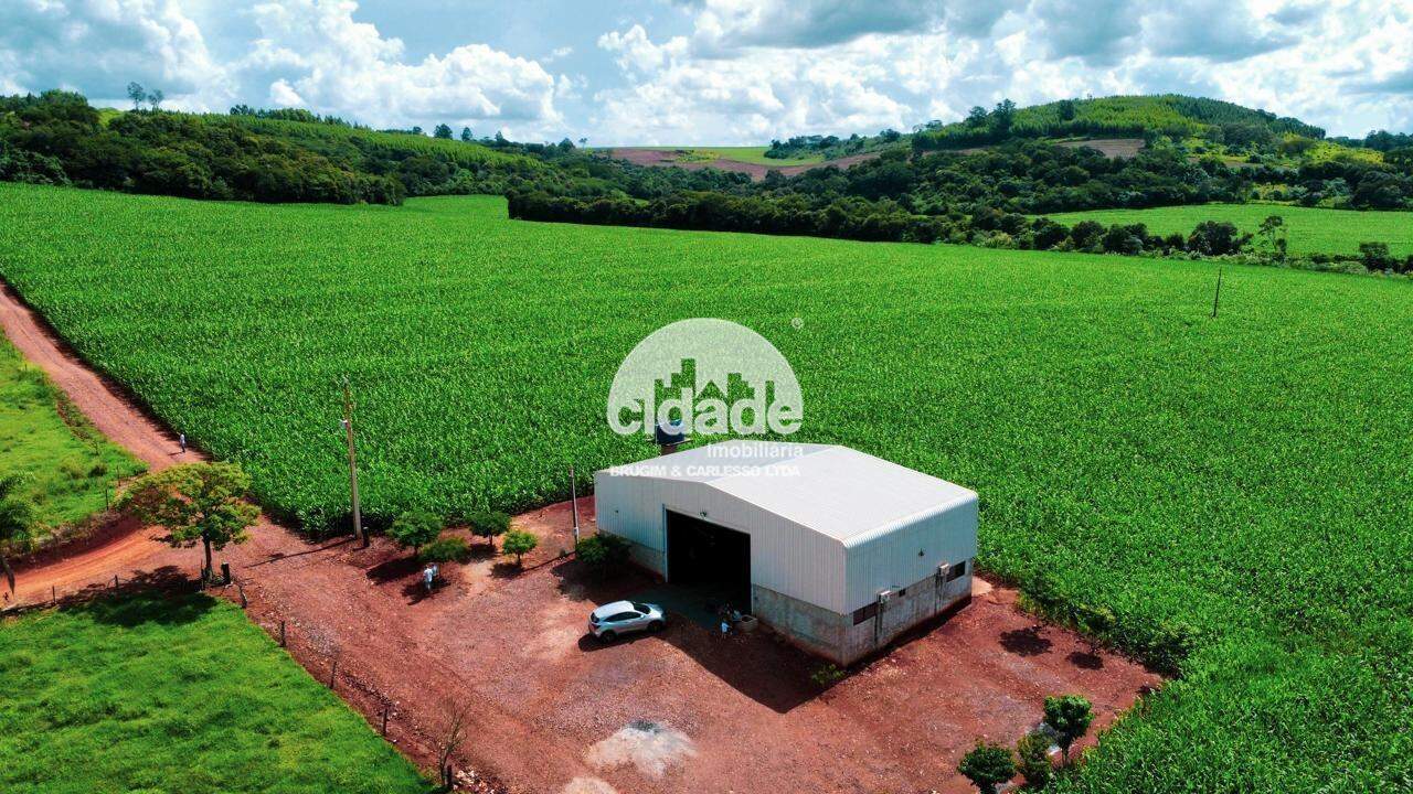 Imóvel rural à venda, São Pedro do Iguaçu – SÃO PEDRO/PR