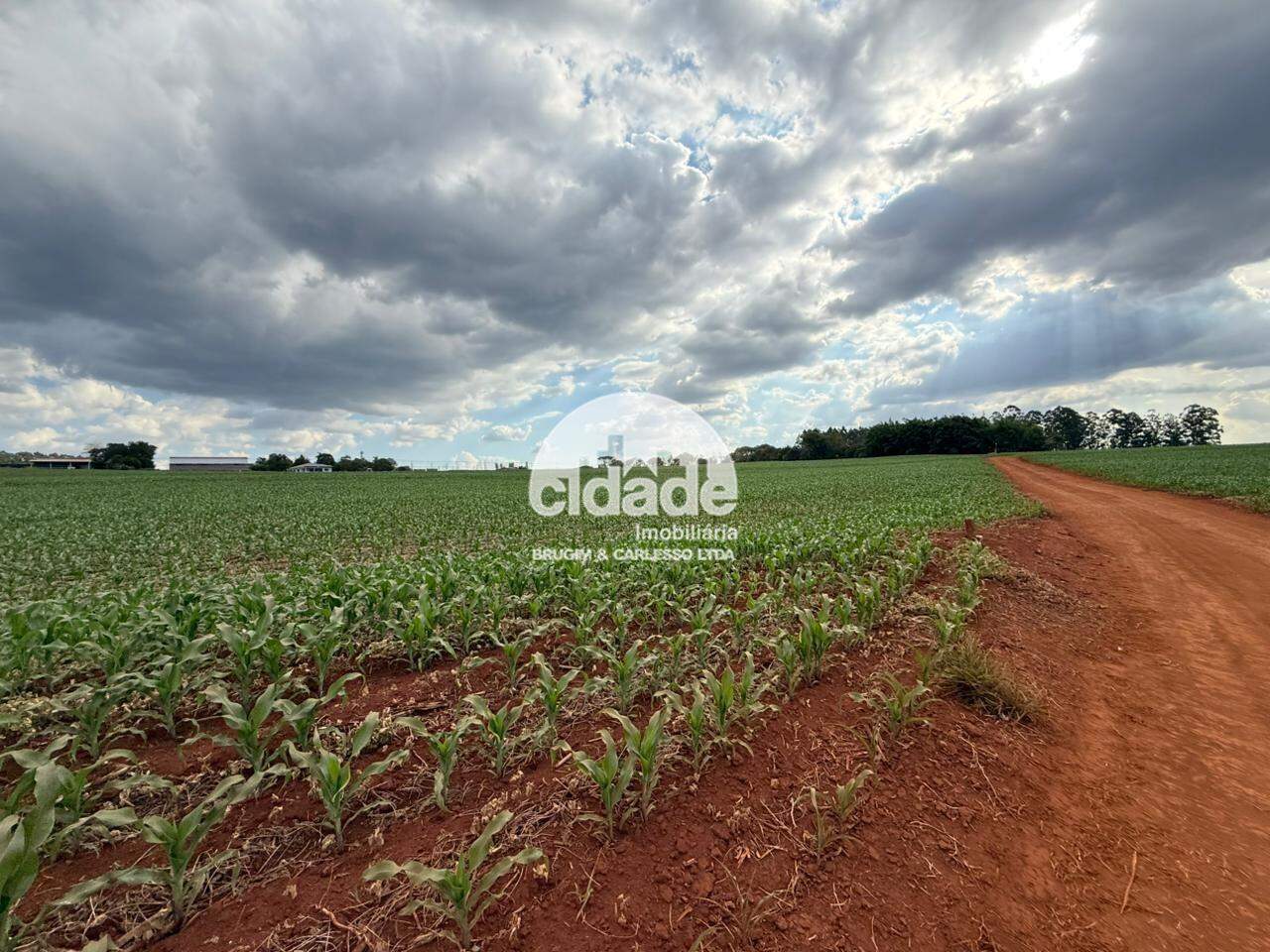 Imóvel rural à venda, Área Rural – Cascavel/Pr