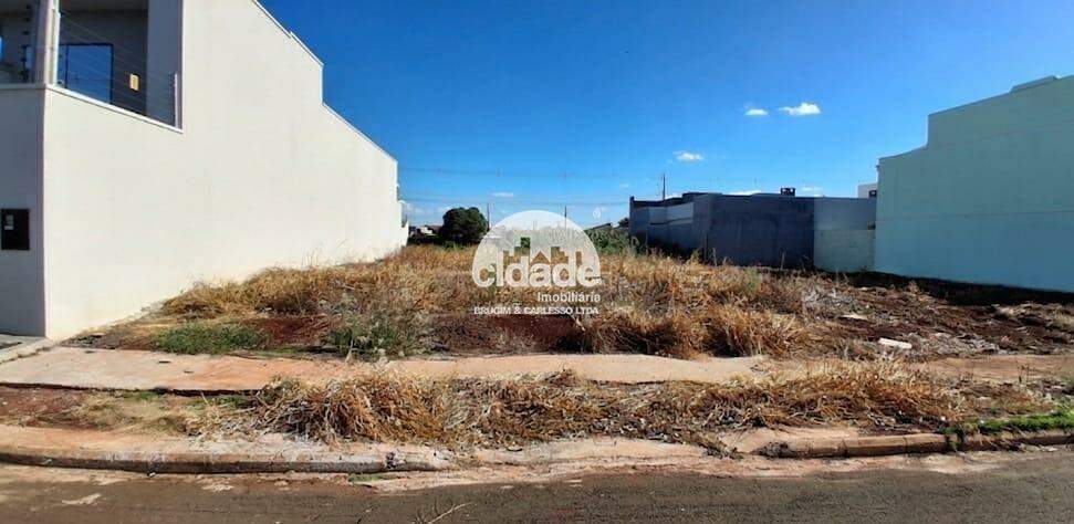 OPORTUNIDADE IMPERDÍVEL – TERRENO À VENDA!