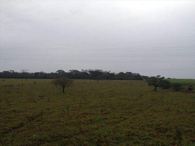 Rural à venda no Centro: 207100-IMG_20160602_WA0018