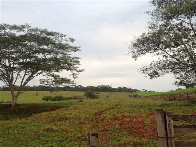 Rural à venda no Centro: 207100-IMG_20160602_WA0017