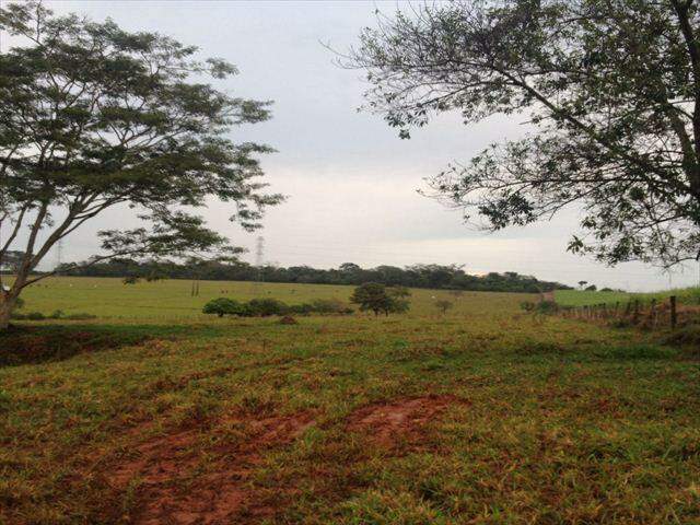 Rural à venda no Centro: 207100-IMG_20160602_WA0016