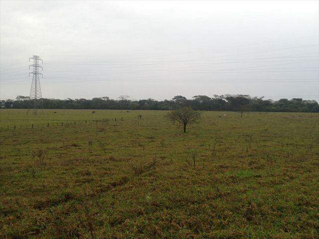 Rural à venda no Centro: 207100-IMG_20160602_WA0019