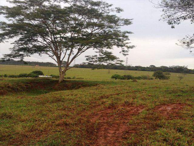 Rural à venda no Centro: 207100-IMG_20160602_WA0021