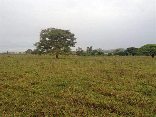 Rural à venda no Centro: 207100-IMG_20160602_WA0022