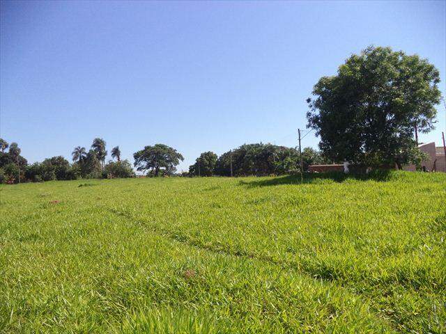 Rural à venda no VILA NOSSA SENHORA APARECIDA: 146400-DSC07201