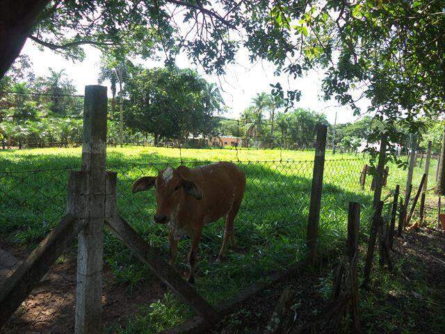 Rural à venda no VILA NOSSA SENHORA APARECIDA: 146400-DSC07198
