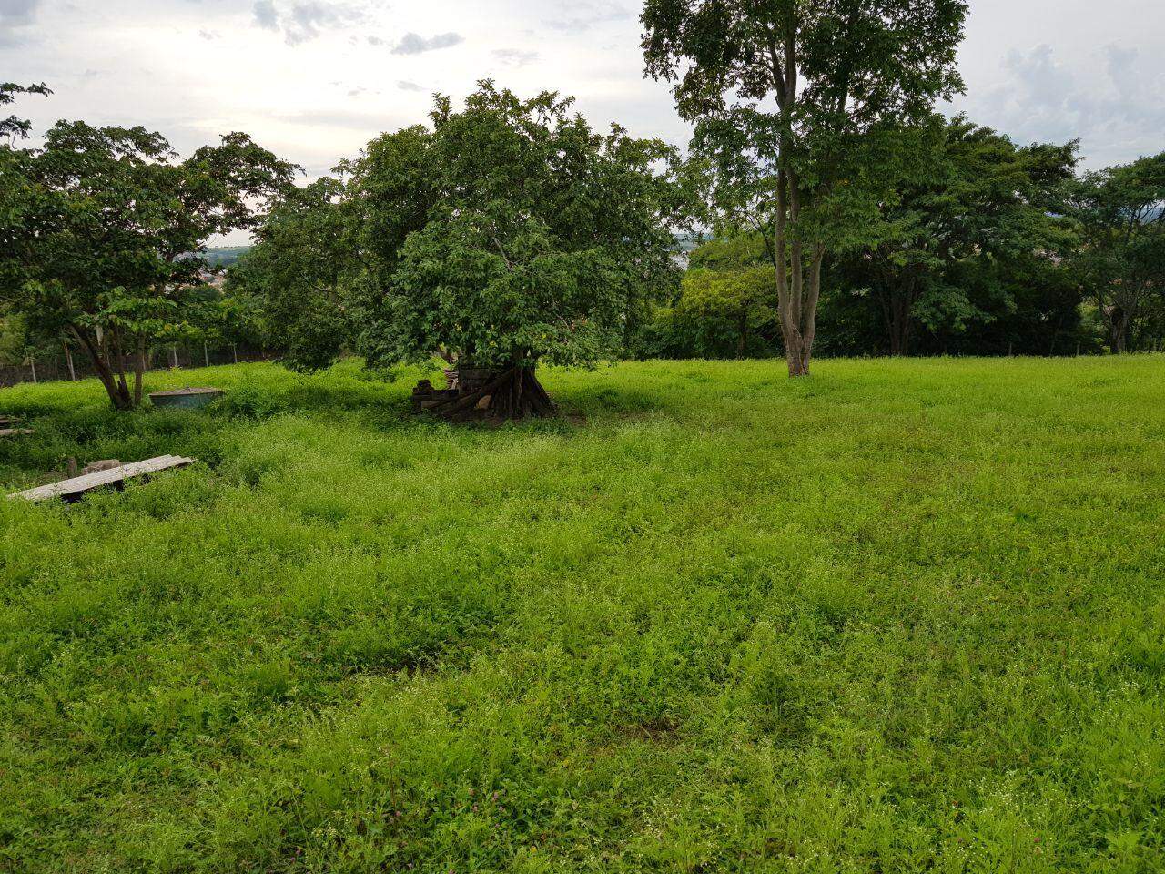 Área à venda no SUBIDA PRETA: WhatsApp Image 2017-12-20 at 10.29.32