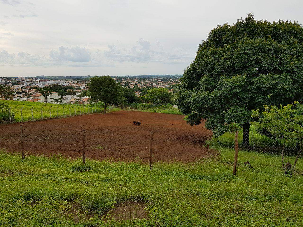 Área à venda no SUBIDA PRETA: WhatsApp Image 2017-12-20 at 10.29.30 (1)