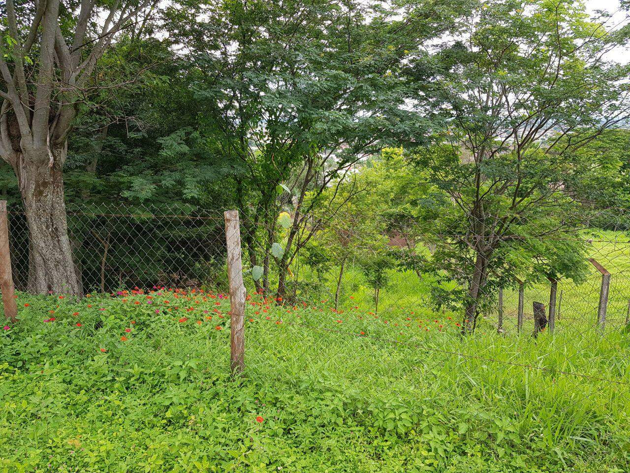 Área à venda no SUBIDA PRETA: WhatsApp Image 2017-12-20 at 10.29.31 (1)