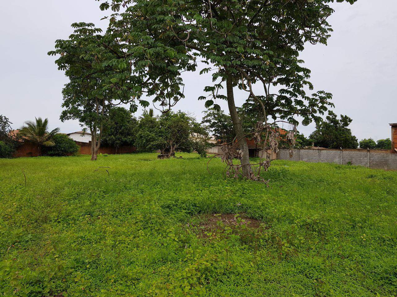 Área à venda no SUBIDA PRETA: WhatsApp Image 2017-12-20 at 10.29.30