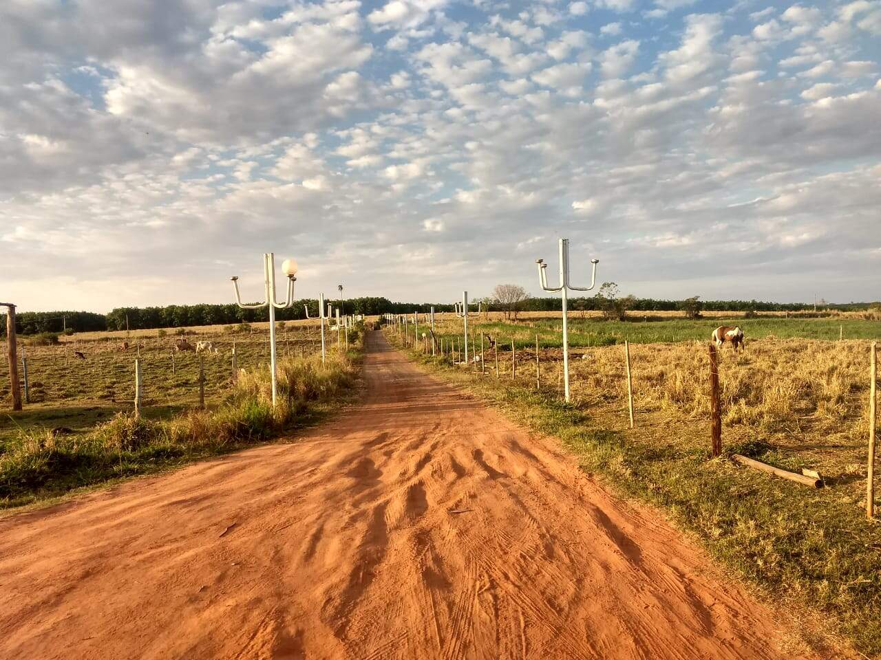 Chácara à venda no ZONA RURAL: 158a2aca-b512-46d7-a437-7392baeb29a7.jpg