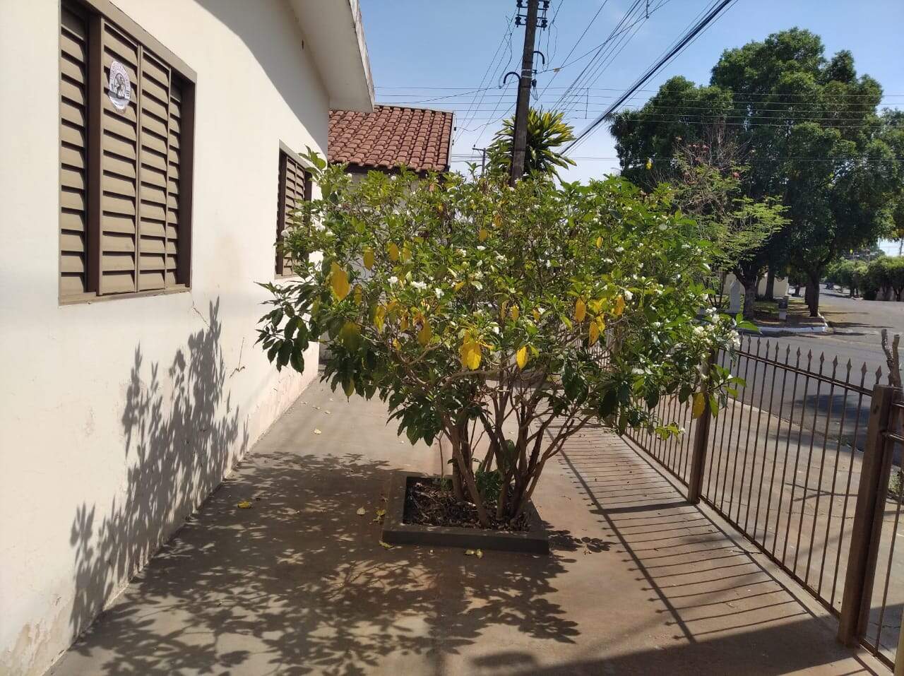 Casa à venda no JARDIM BOM JESUS: d1b998fe-1cf7-4450-ab63-95b467a75e86.jpg