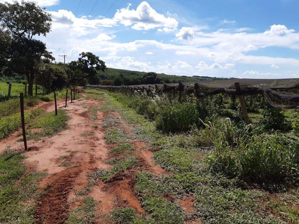 Sítio à venda no Rural: cfd8a89f-cf3d-4ac2-a4ea-0d9d00037115.jpg