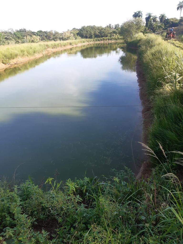 Sítio à venda no Rural: db7e2f36-c1f8-47c6-b123-09e760cf109e.jpg