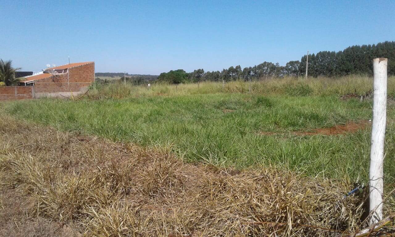 Terreno à venda no CENTRO: 7cf34f62-8c89-487e-94bd-0f3e111aaf79.jpg
