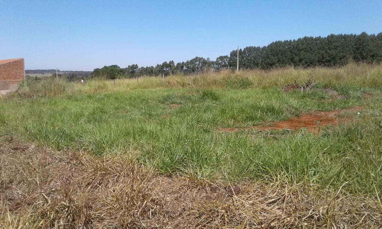 Terreno à venda no CENTRO: 0e756230-c72f-4a1d-af45-04bfd1afff9a - Copia.jpg