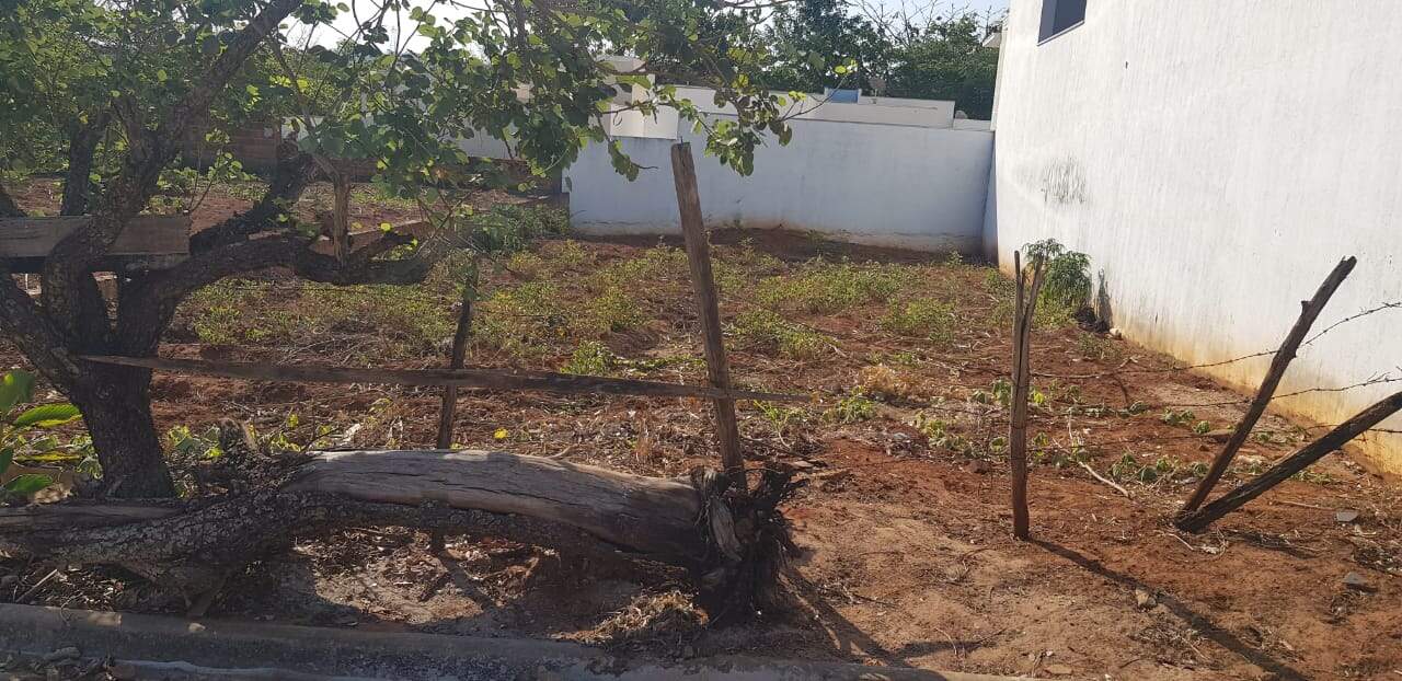 Terreno à venda no RESIDENCIAL PAINEIRAS: d135e36d-f578-4dd1-8319-f3c28d886a15.jpg