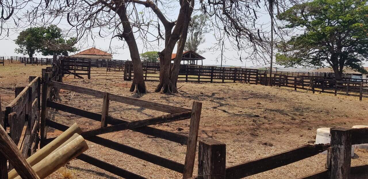 Sítio à venda no Zona Rural: 32e71ecc-8a75-4a16-b7b0-8ba8ed199492.jpg