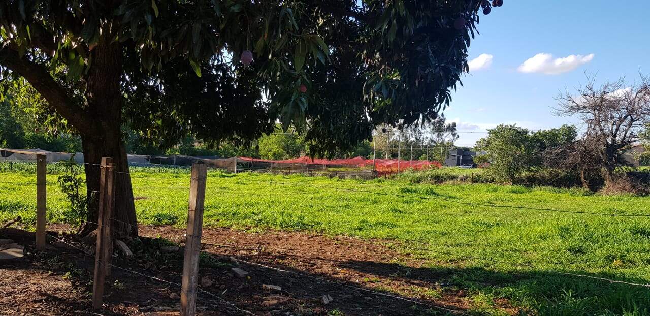 Terreno à venda no JARDIM IPIRANGA: 0f9bf970-f1cf-444d-8231-899fdf1813ff.jpg