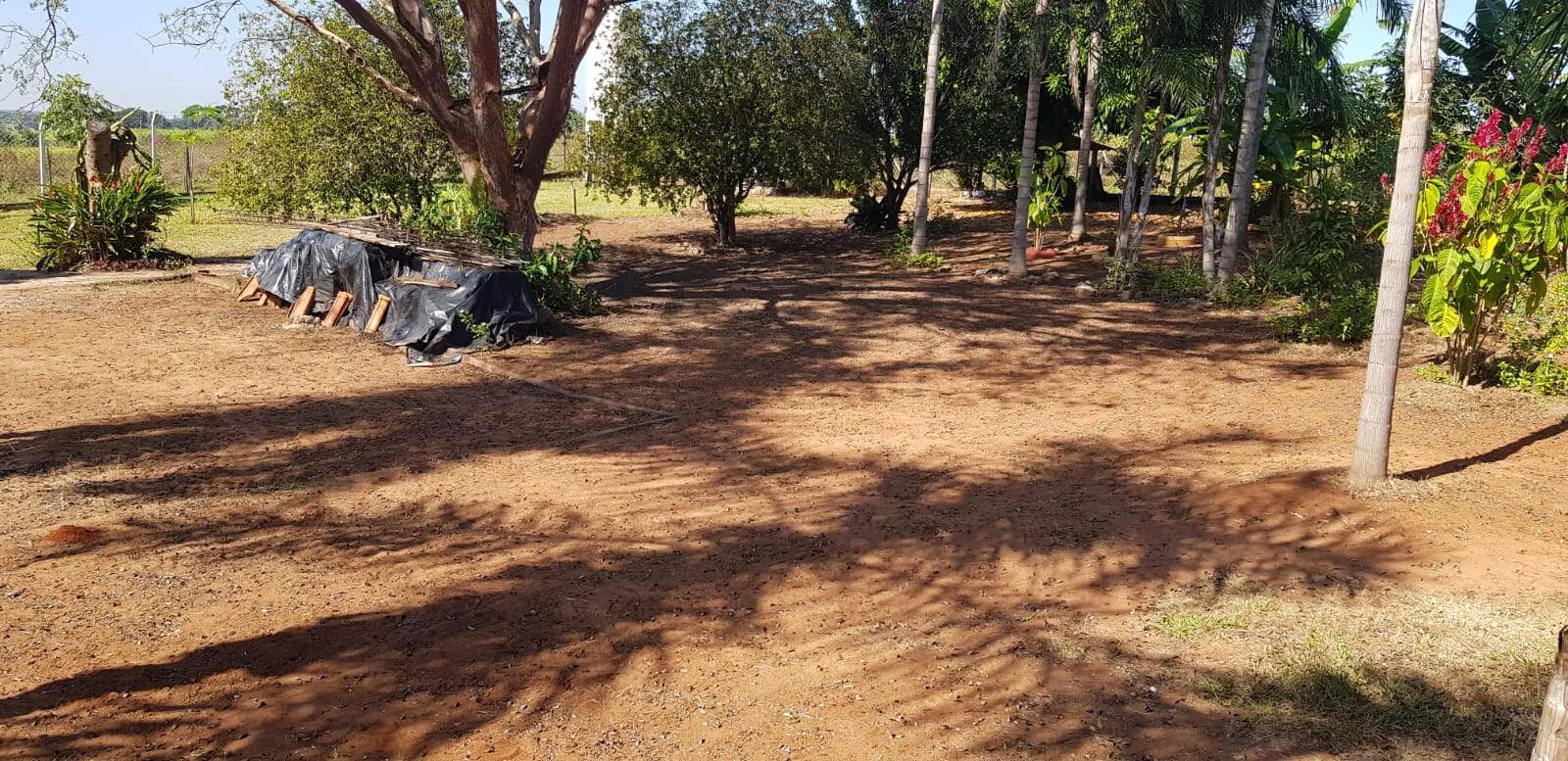 Chácara à venda no Rural: 1ed97e00-61ff-431f-aa8f-aa48bc688ea0.jpg