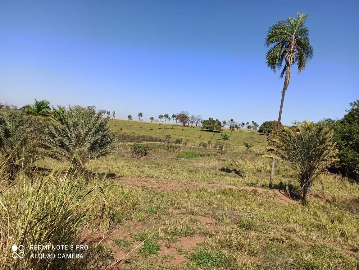 Chácara à venda no Rural: 78c5e8c1-7e27-4010-939b-83ff4df6179c.jpg