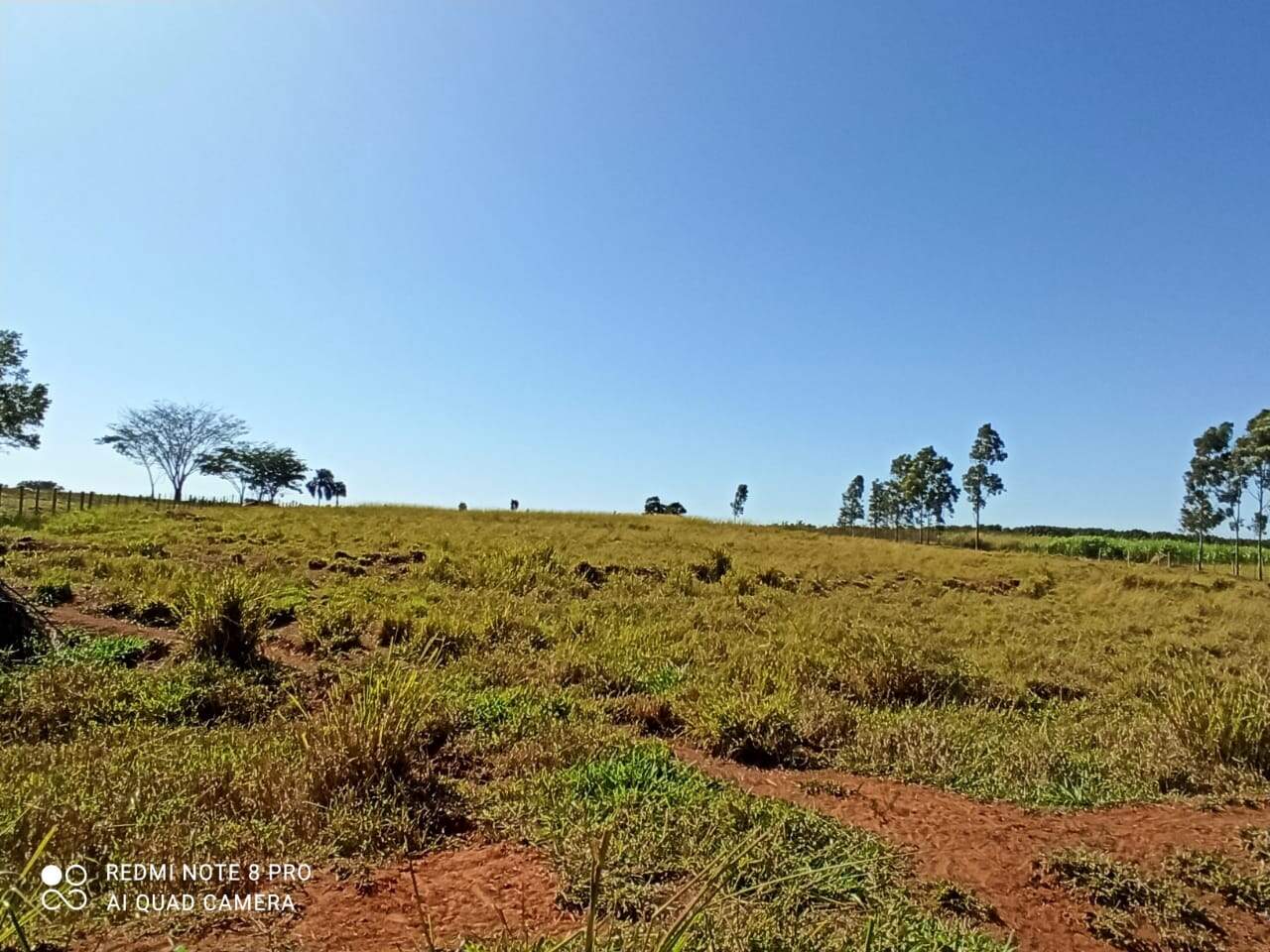 Chácara à venda no Rural: 2335f0da-bc50-412d-b3fd-51e8a7ac8d77.jpg