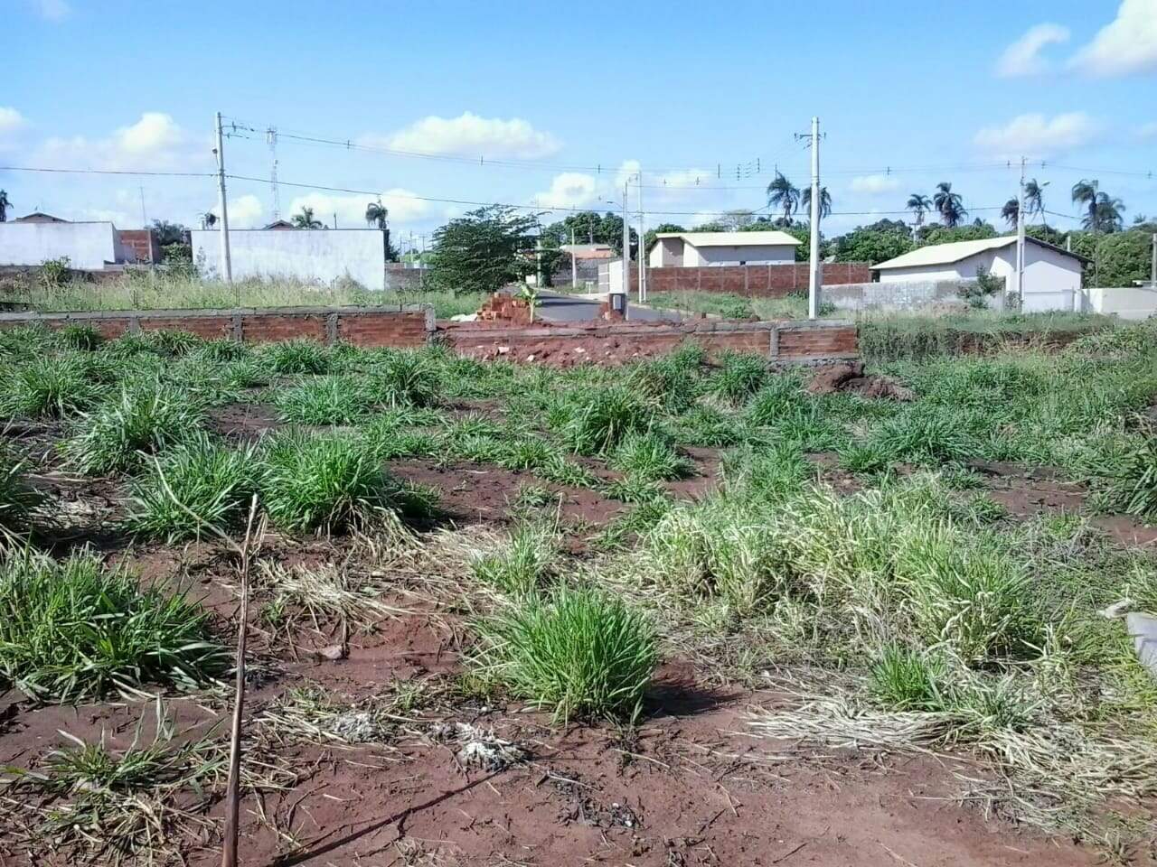 Terreno à venda no Jardim Europa: 10fadb8d-13fd-430b-8b50-78690bc6044f.jpg