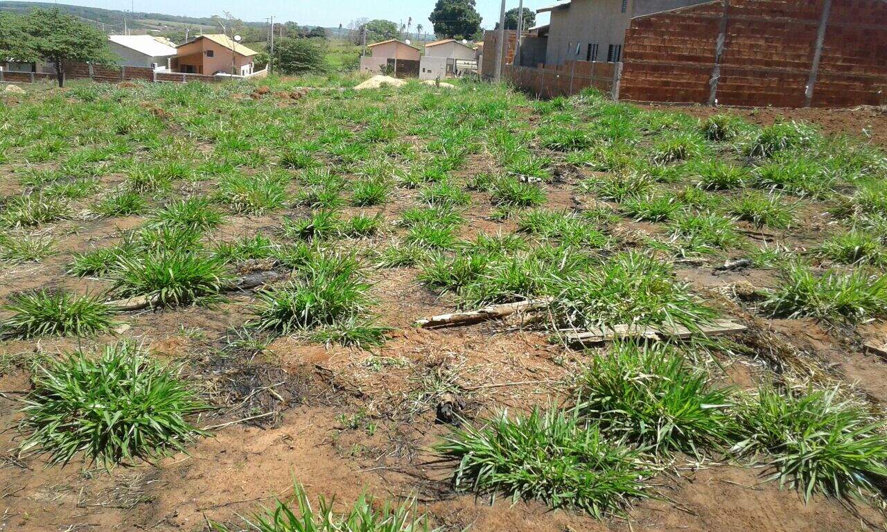 Terreno à venda no Jardim Europa: aabcf20c-be42-4700-a56d-4c512220757b.jpg