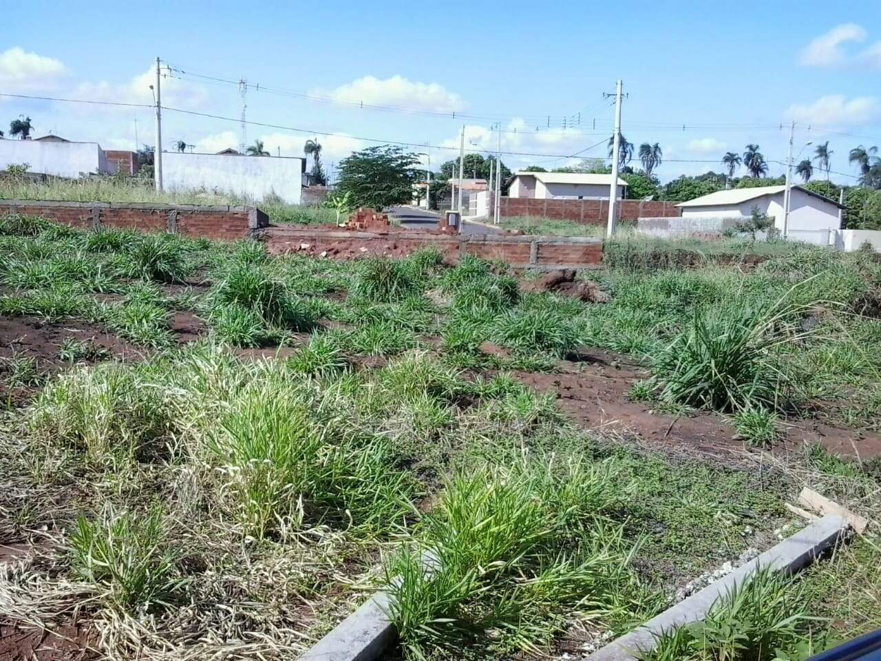 Terreno à venda no Jardim Europa: e67c7fc0-66b6-4eec-992c-b0a4c550216a.jpg