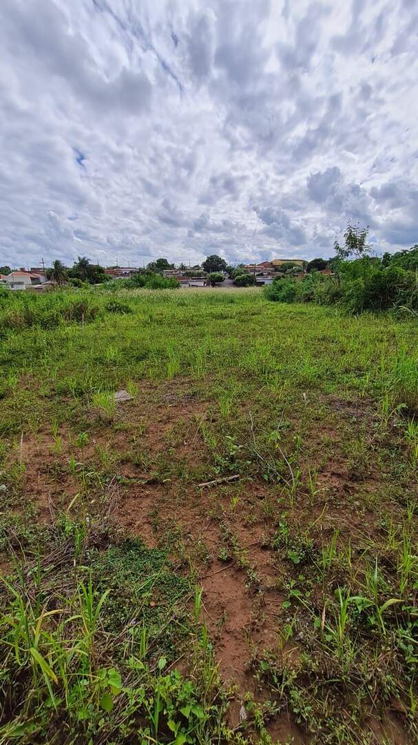Terreno à venda no VILA NOSSA SENHORA APARECIDA: 50807b83-faae-4e0f-bdf6-5be754b37e0b.jpg