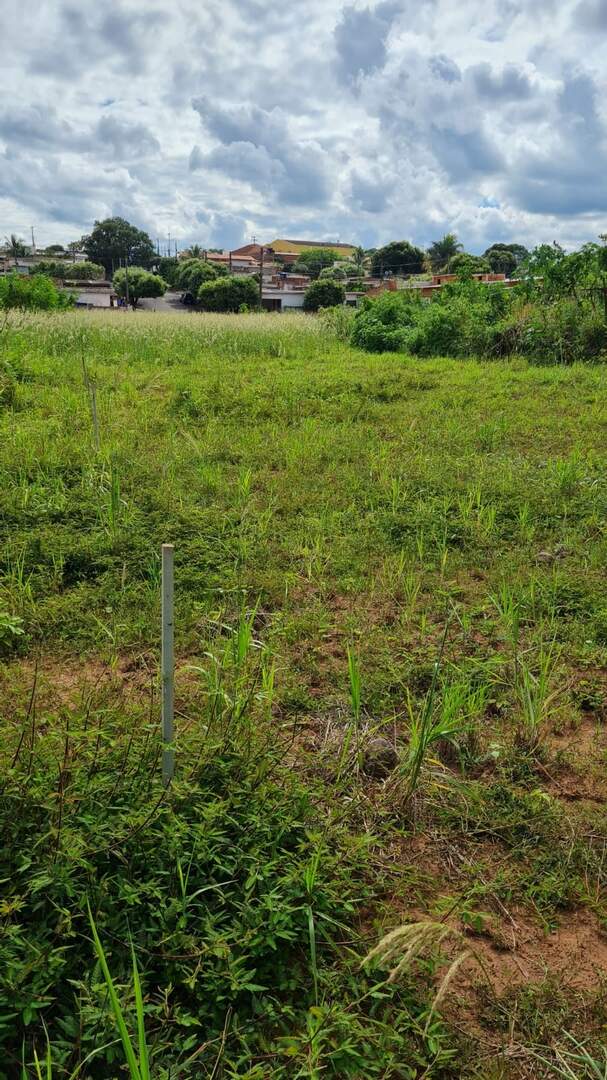 Terreno à venda no VILA NOSSA SENHORA APARECIDA: 3453e104-9eb8-41fe-86c1-71254138c6cc.jpg