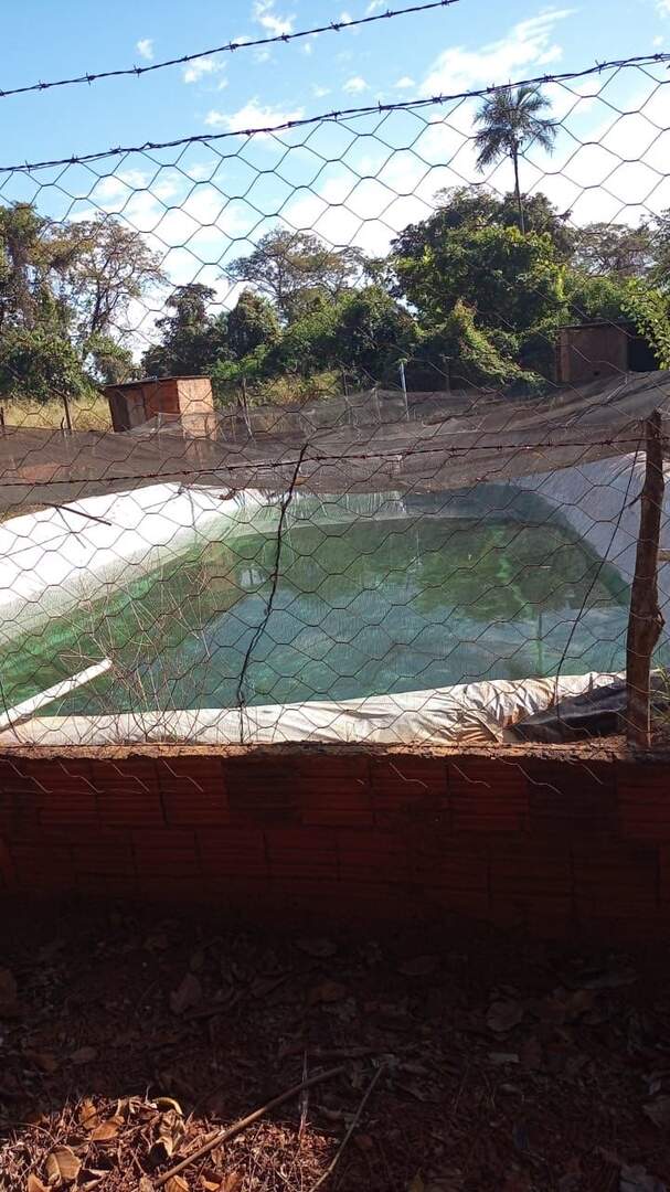 Sítio à venda no Área Rural: 37f17769-9e7f-4c0c-91aa-7e3f9c8b07e0.jpg