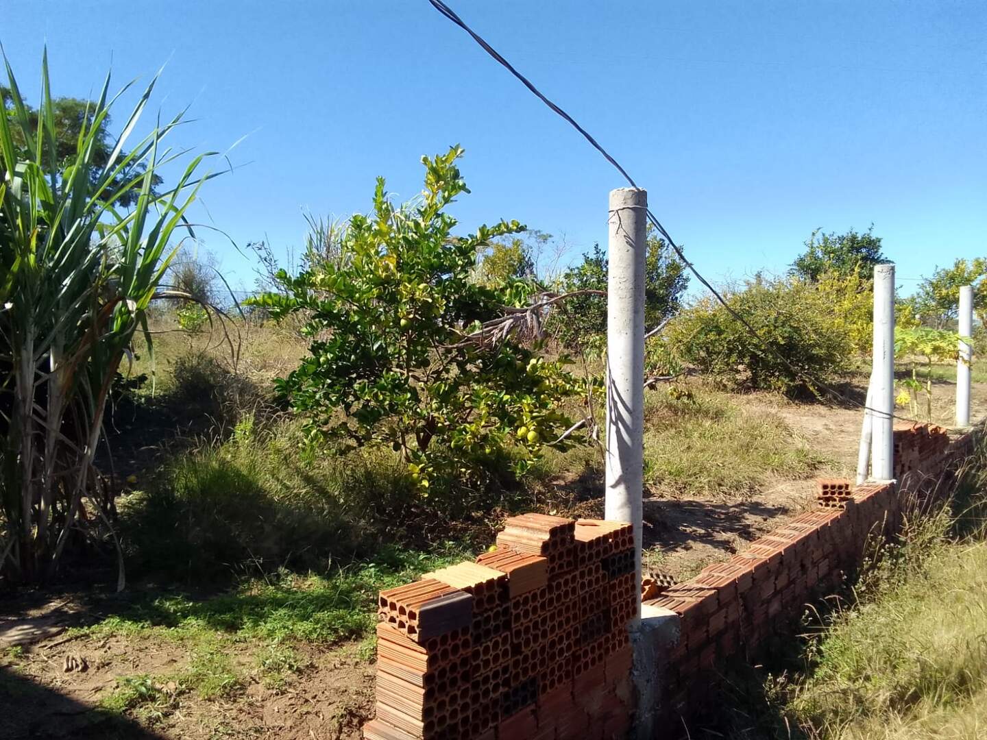 Sítio à venda no Zona Rural: 1e4d7aed-0e41-47c4-8359-43afb04d5185.jpg