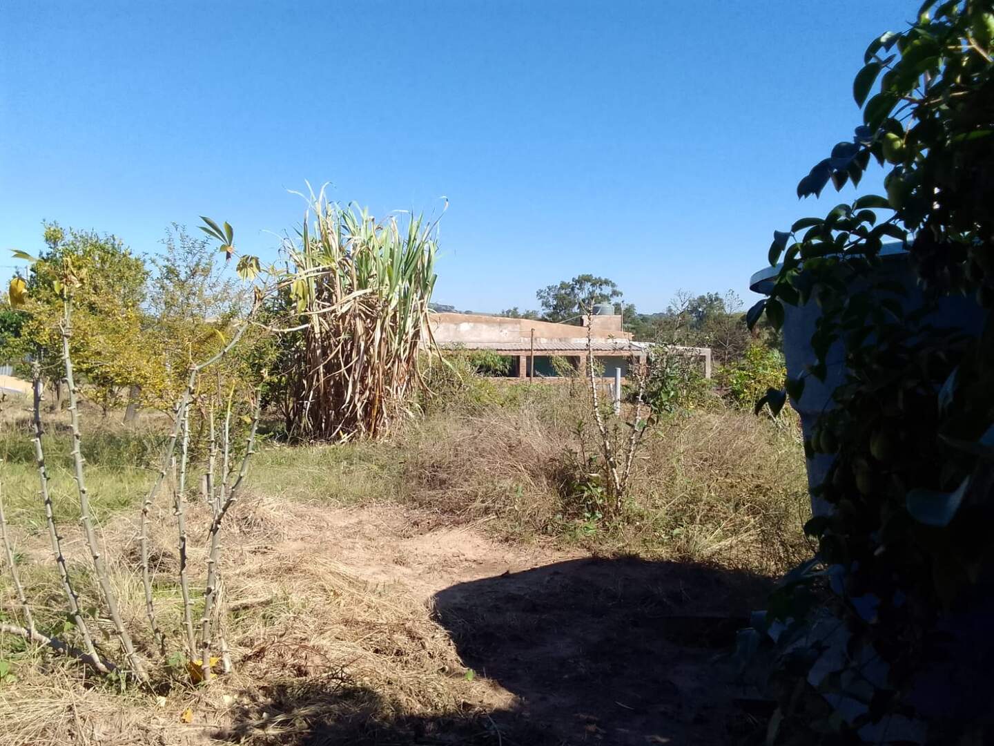 Sítio à venda no Zona Rural: 2c266f9c-87dd-4f71-95ad-e55172a122f4.jpg