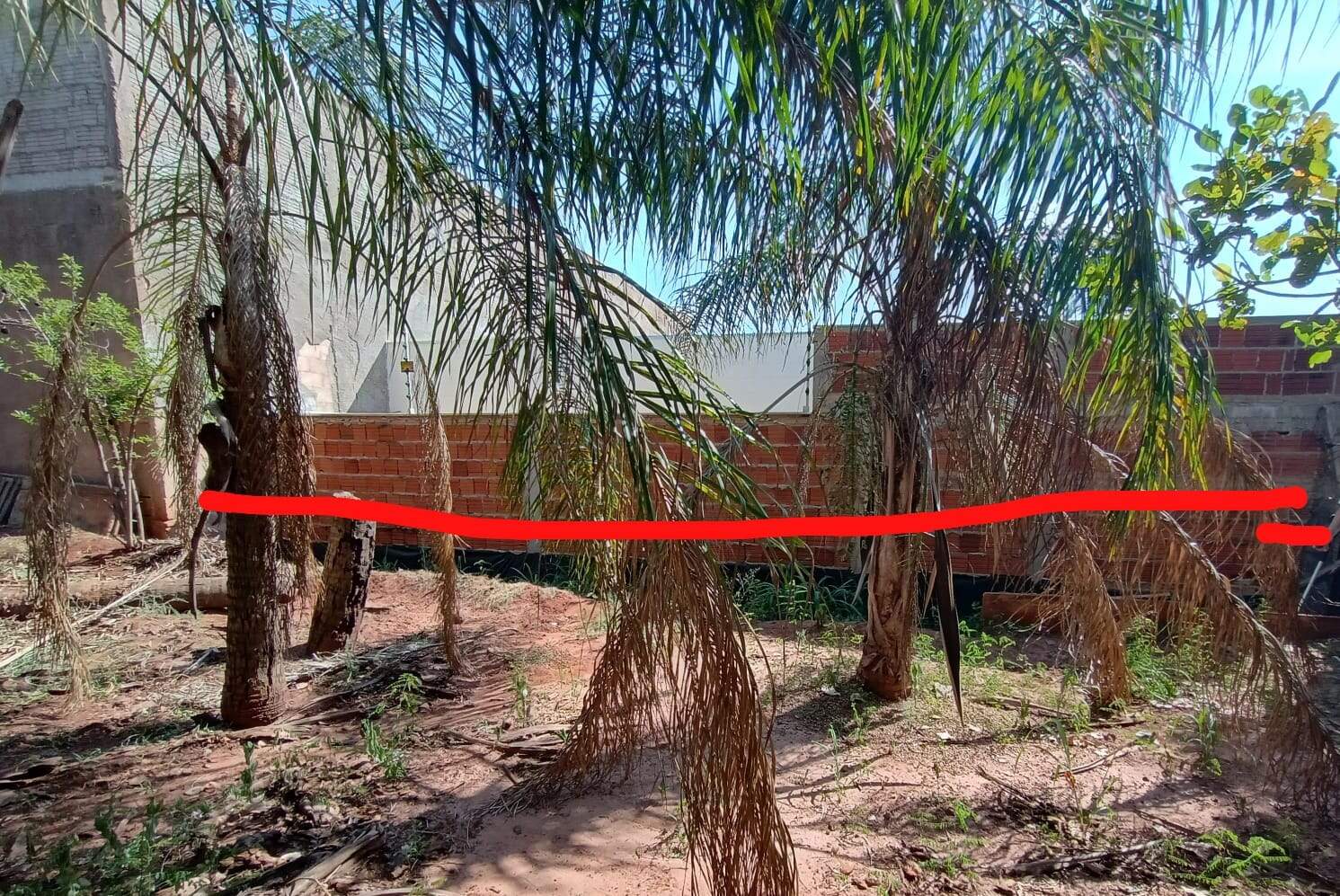 Terreno à venda no Jardim Avenida: 82ebc324-dcc7-4316-a439-6ade31fe7dbf.jpg