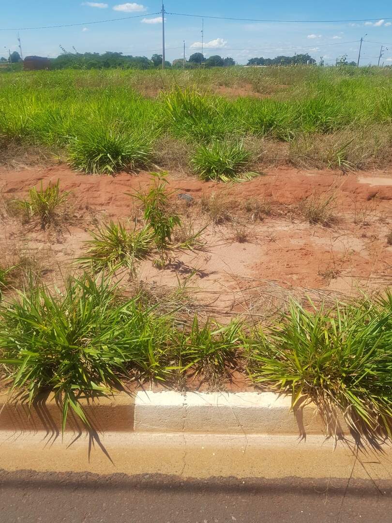 Terreno à venda no Residencial Novo Horizonte: 5c5b1345-3169-4de2-93fe-0d81075962fa.jpg