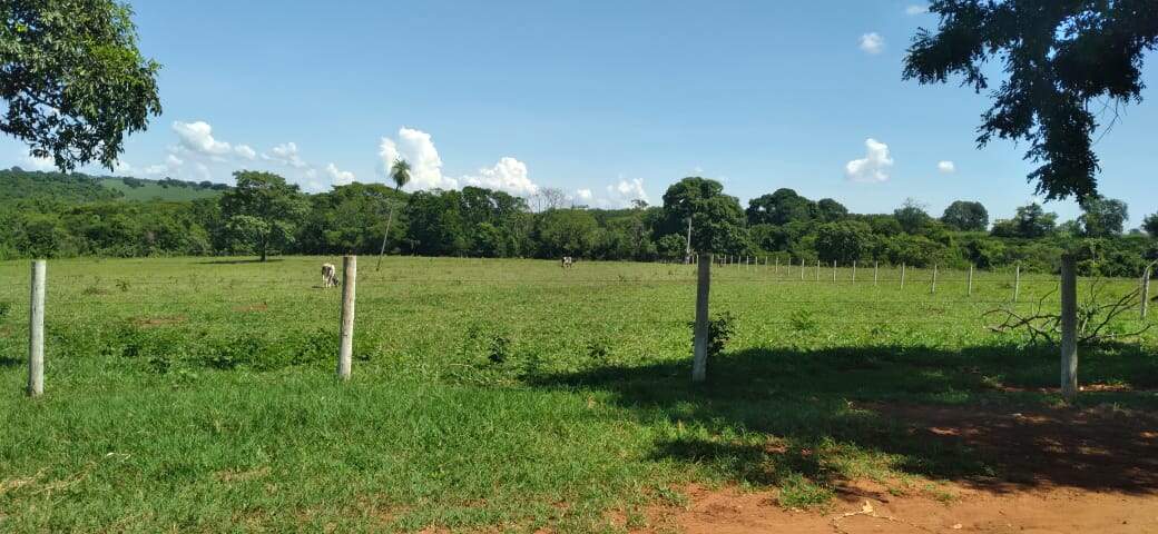 Chácara à venda no Rural: b234935a-c59a-4b80-8a72-00254f92d47c.jpg