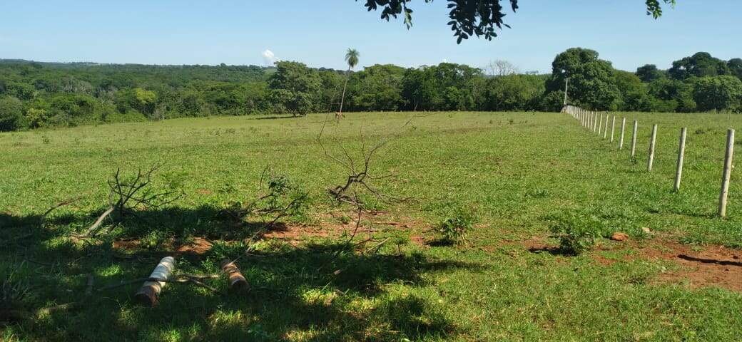 Chácara à venda no Rural: ba45a6ca-870d-4f10-8dfe-dfbe3bda2cec.jpg