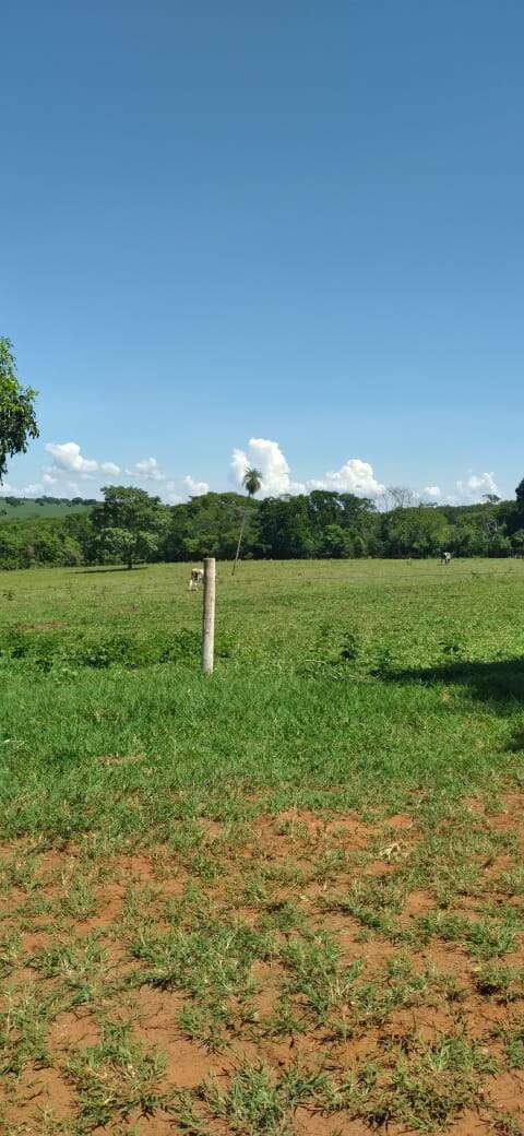 Chácara à venda no Rural: 54b474c5-962a-4b30-9b3b-d6cfc81bffe0.jpg