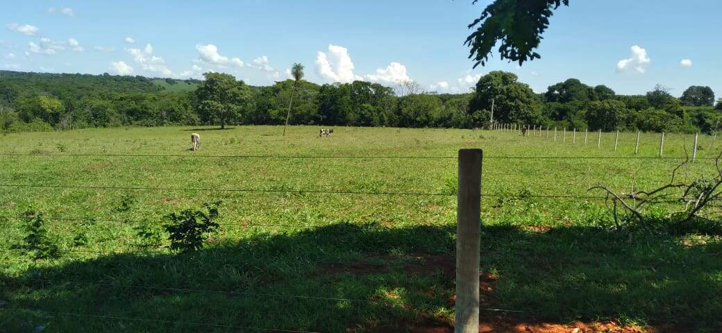 Chácara à venda no Rural: a066d25a-c2d7-4a3a-be69-0a74bc3a34d1.jpg