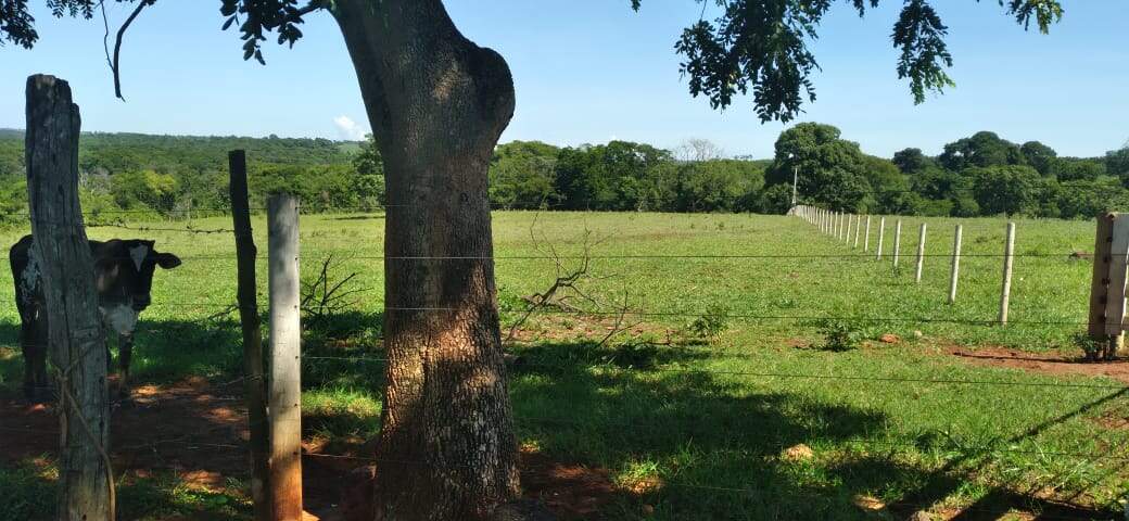 Chácara à venda no Rural: 1efb3d55-987c-467d-a80b-b88825196025.jpg
