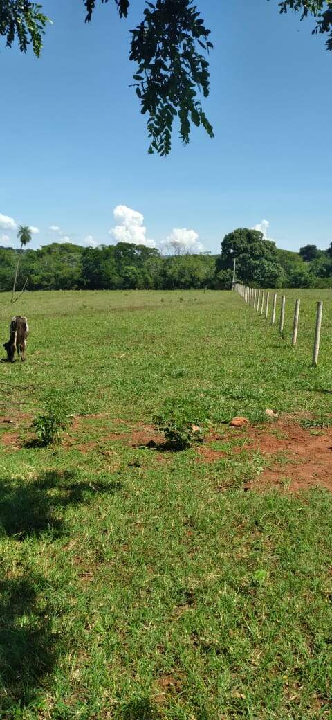 Chácara à venda no Rural: 874d8845-4aff-45ff-a946-5e2d0a1b7130.jpg