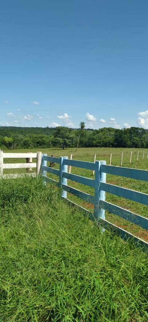 Chácara à venda no Rural: a53afa43-9516-472a-bb3c-22015a04711f.jpg