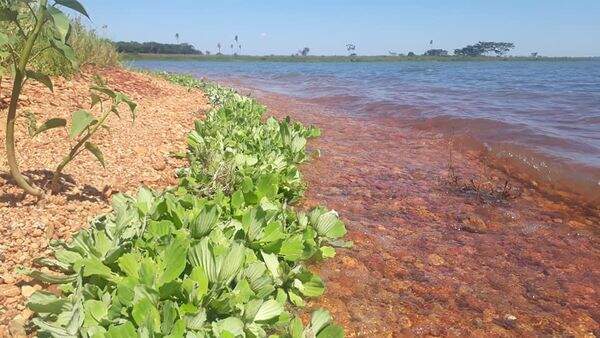 Terreno à venda no Rural: 6c034c9a-4065-4db6-8a02-7a3968ab2b35.jpg