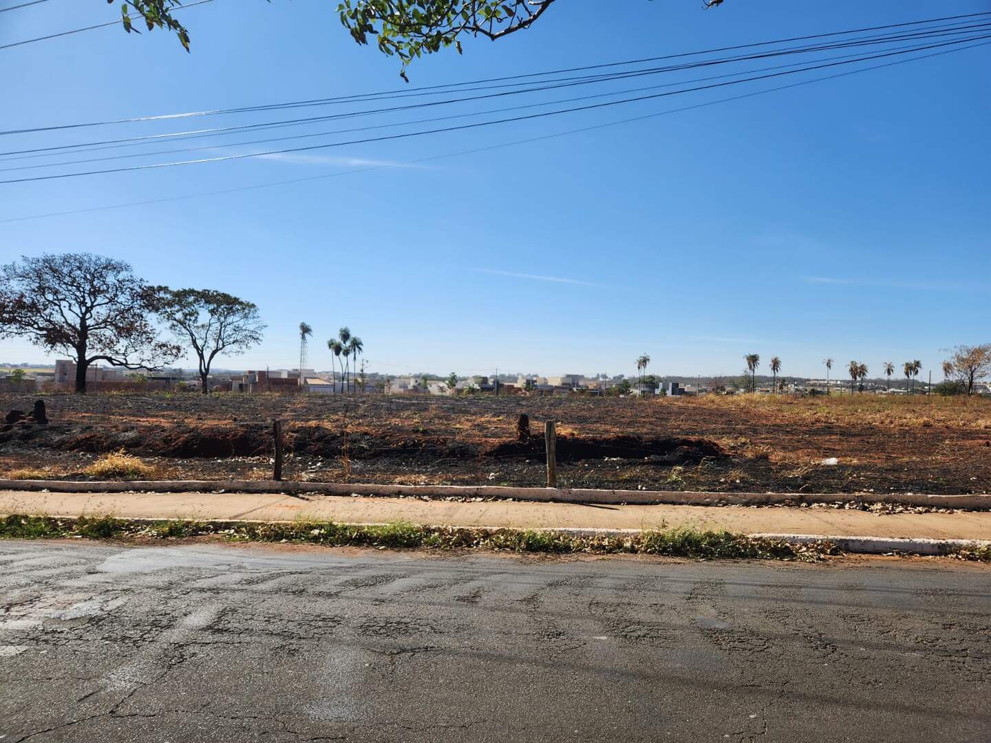 Área à venda no Jardim Santo Expedito: ff2d349e-3cac-49bf-9ea4-38e48cb1709b.jpg