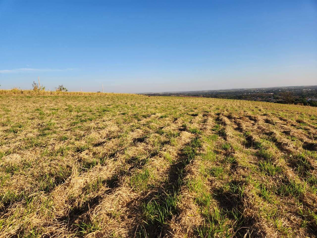 Área à venda no Rural: 5502e1a8-c940-4835-bd49-feb48409355b.jpg