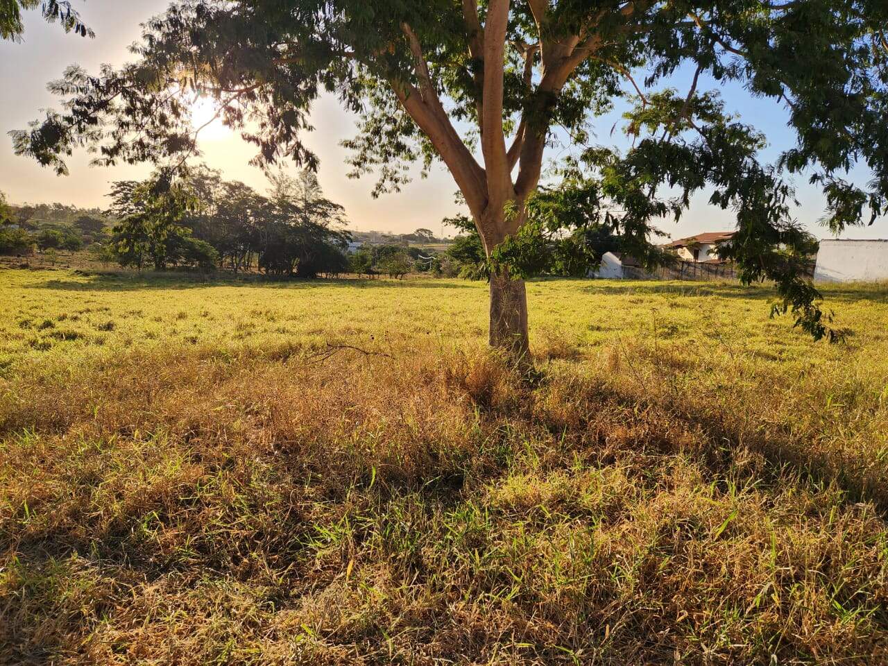 Área à venda no Rural: df70dec3-100a-48fd-9529-85cbe41afc59.jpg