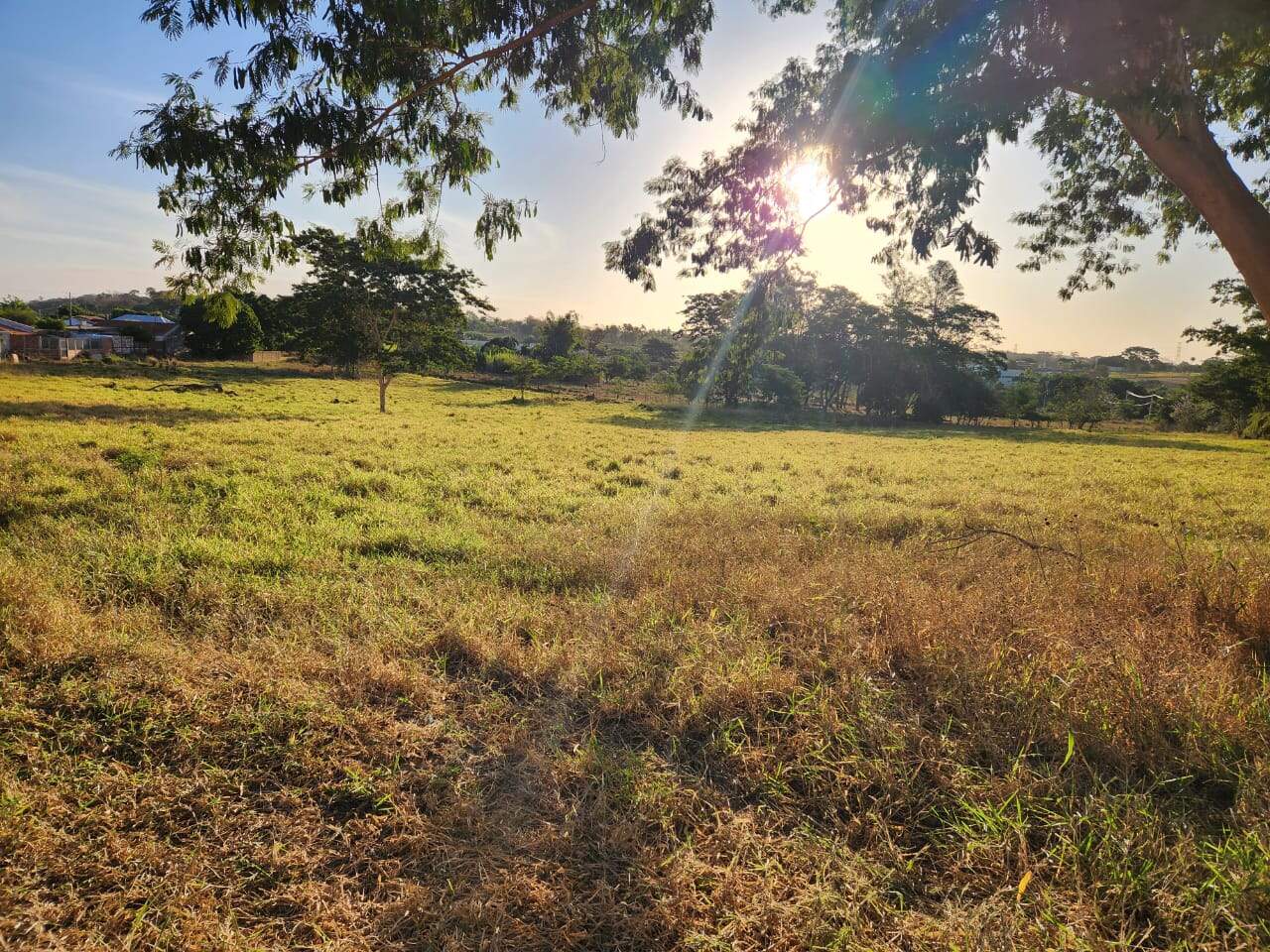 Área à venda no Rural: 4d495216-e5f6-4e70-b913-3ec1c1bf6f2f.jpg