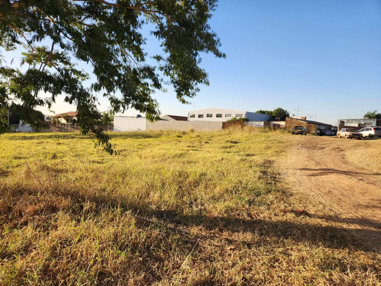 Área à venda no Rural: 5716d8f6-1bb6-4b5f-a122-f77ef0d41604.jpg